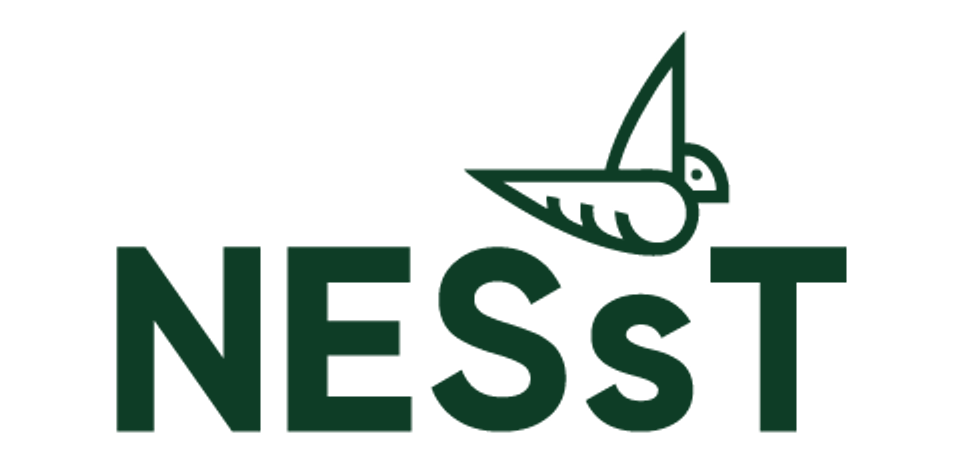 NESsT