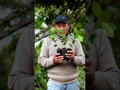 Retrato de Marino Ramos Alejandría, Socio Productor